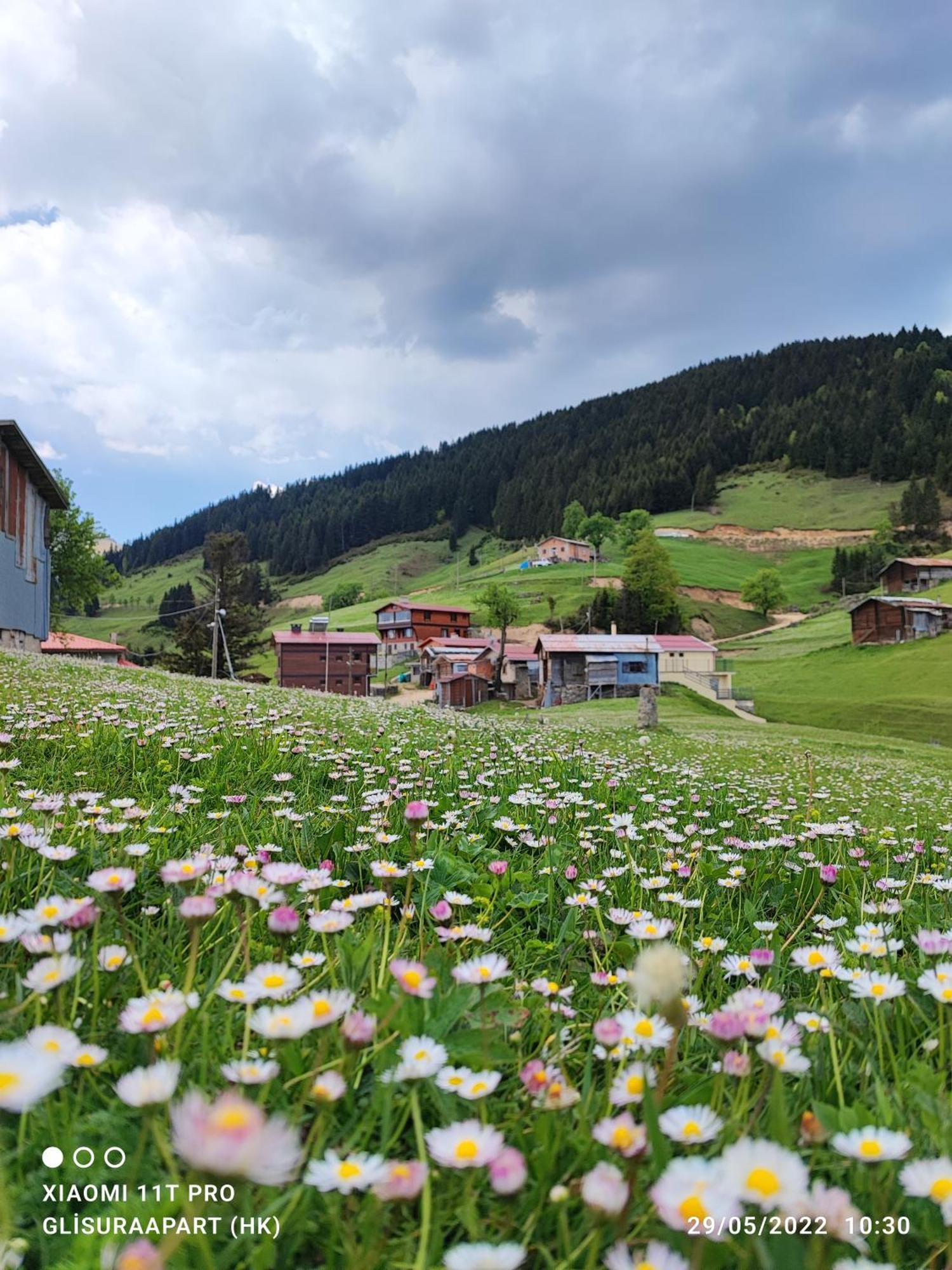 Gumul Pansiyon Uzungöl Exterior foto