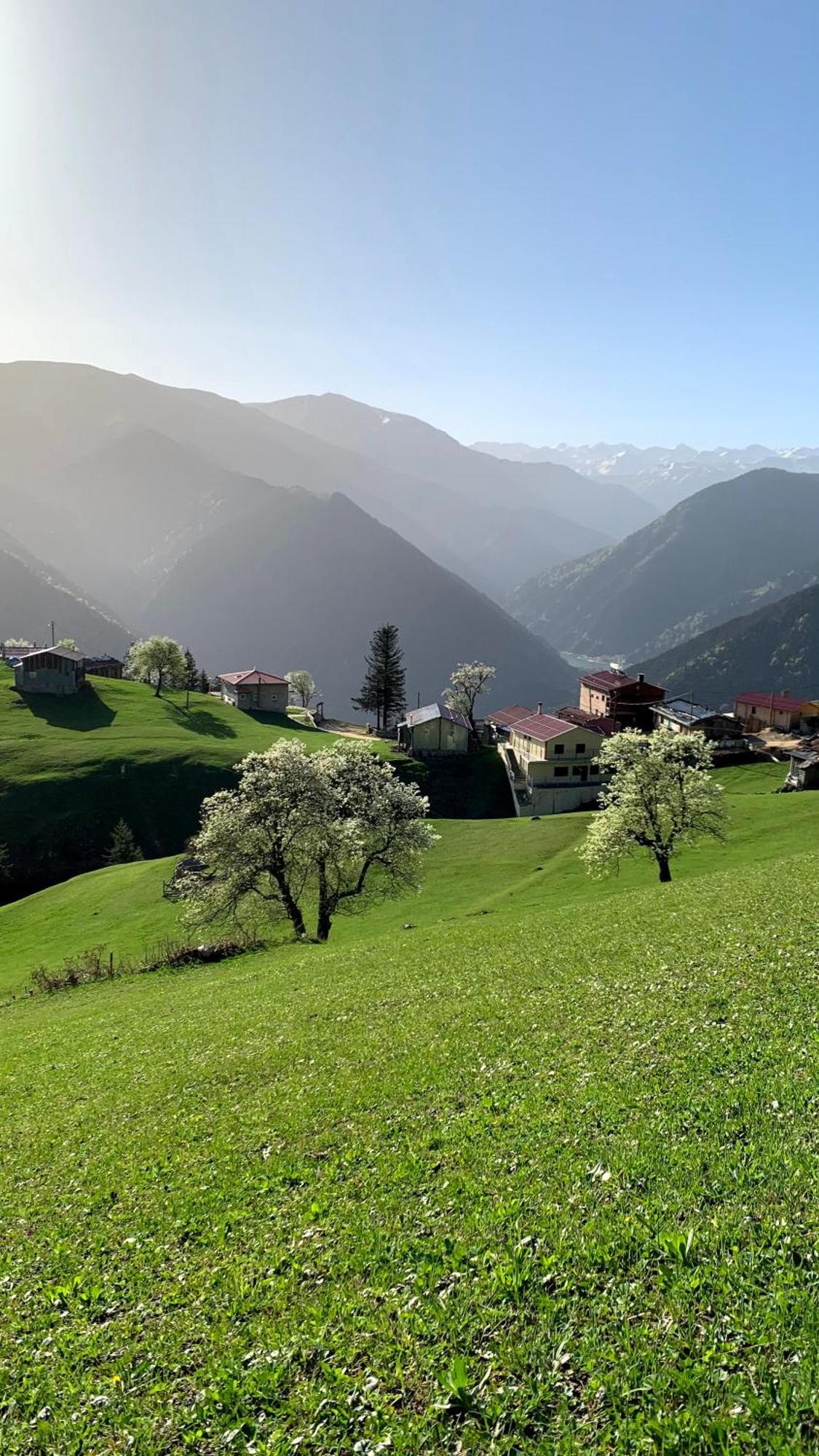 Gumul Pansiyon Uzungöl Exterior foto