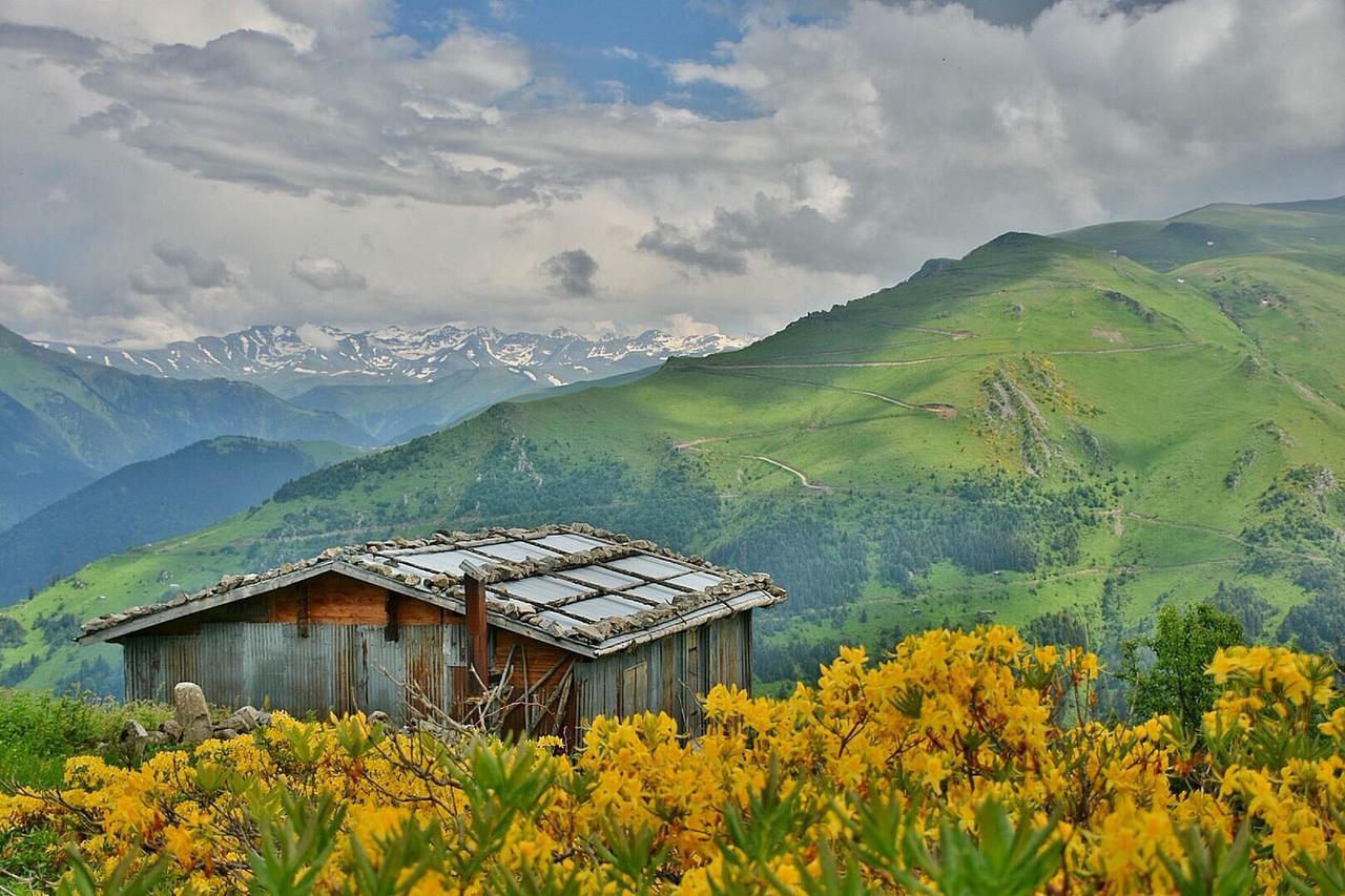 Gumul Pansiyon Uzungöl Exterior foto