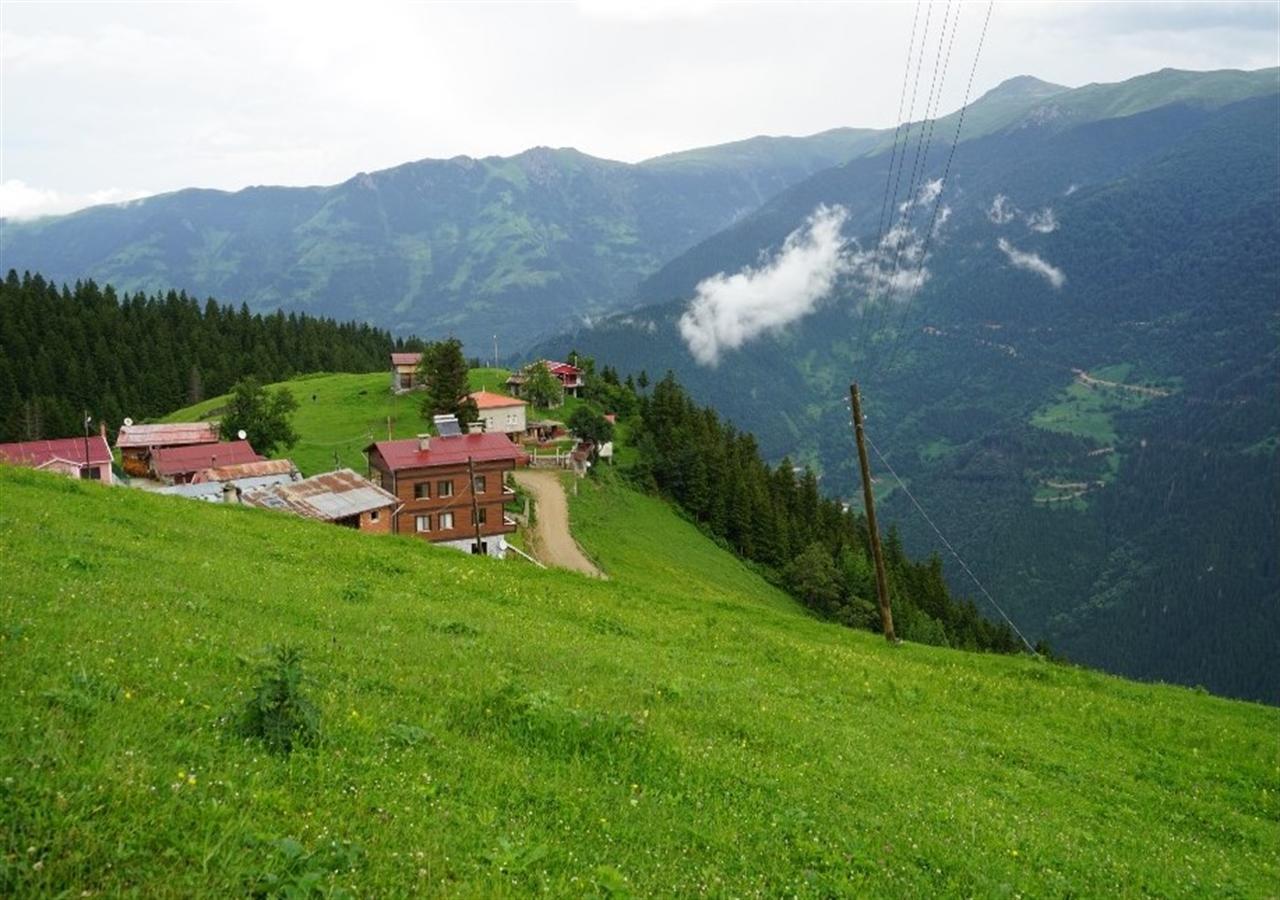 Gumul Pansiyon Uzungöl Exterior foto