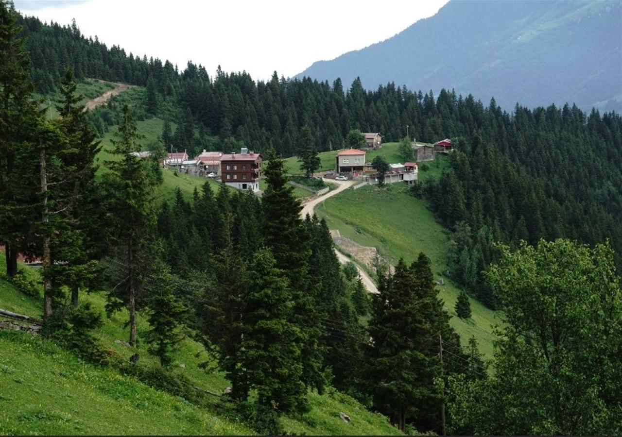 Gumul Pansiyon Uzungöl Exterior foto